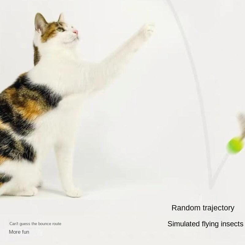 MEOWCARD® Cat Teaser Toy - KIKOPALS