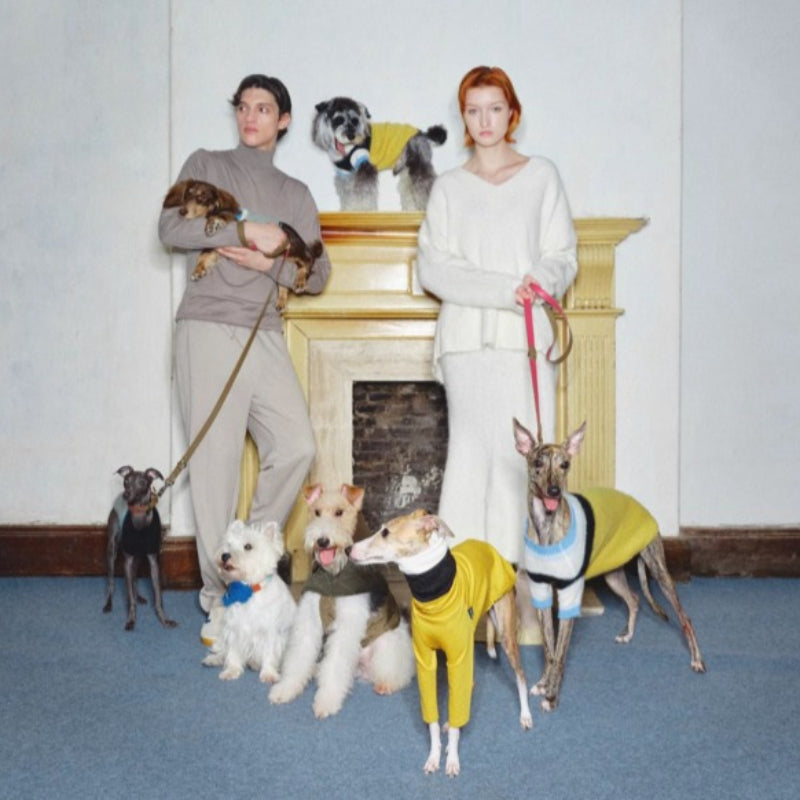 Nuoz® Handmade Customized Pet Scarf - Color Block Mohair Wool for Dogs