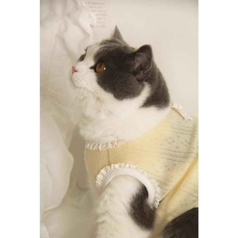 BOWWW® Cotton Knit Cat Vest - KIKOPALS