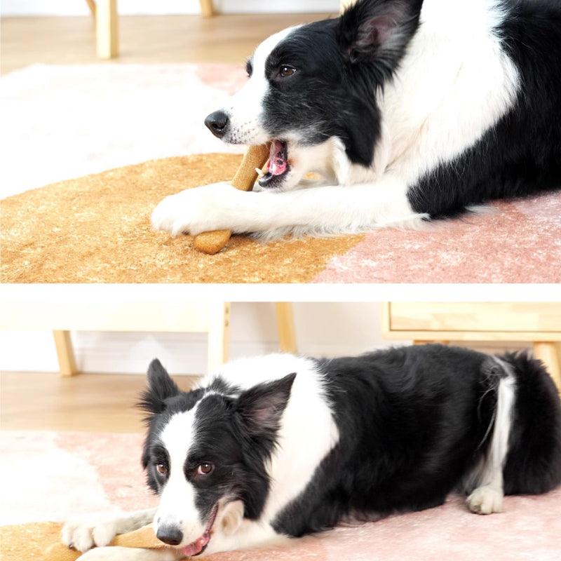 MoovaLab® Deer Antler Chew Dog Toy - KIKOPALS