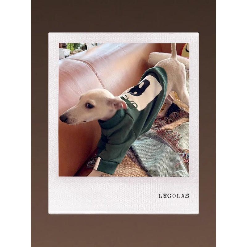 GASU® Athlete Cotton Pet Outfit - KIKOPALS