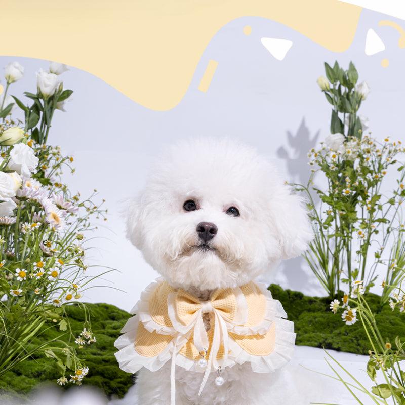 KAMA MUTA® Daisy Pet Bib - KIKOPALS