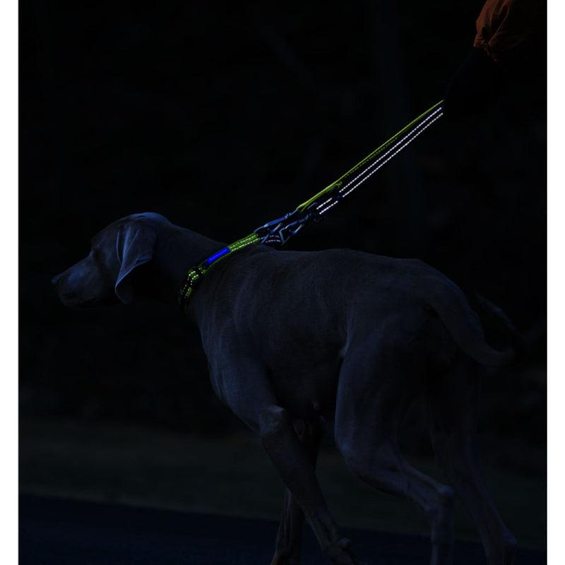 KITTY YOYO® Knytt Dog Dual Leash - KIKOPALS