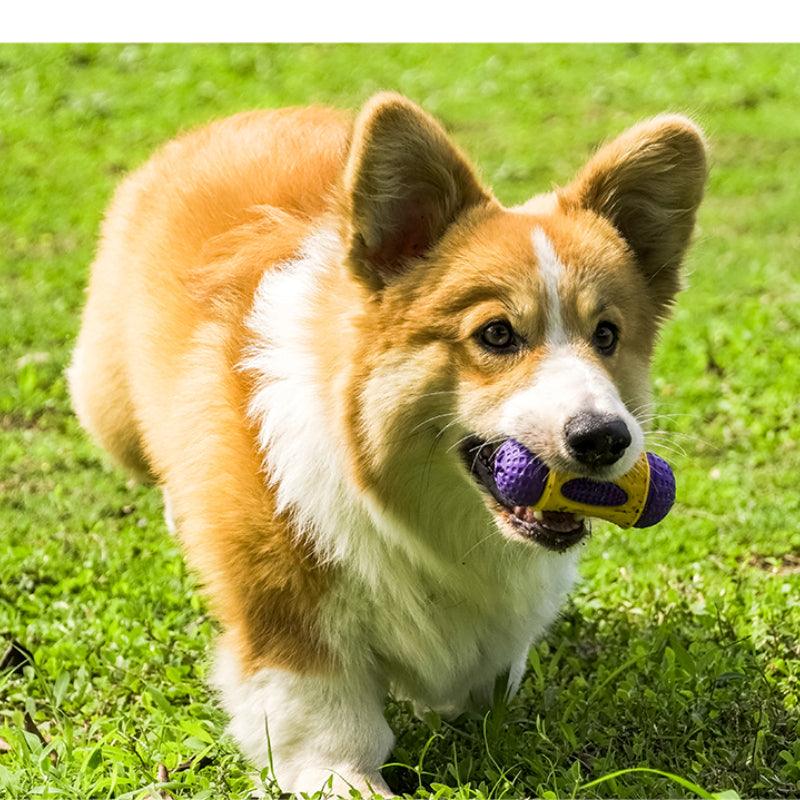 MoovaLab® Durable Dog Drum Treat Dispenser - KIKOPALS