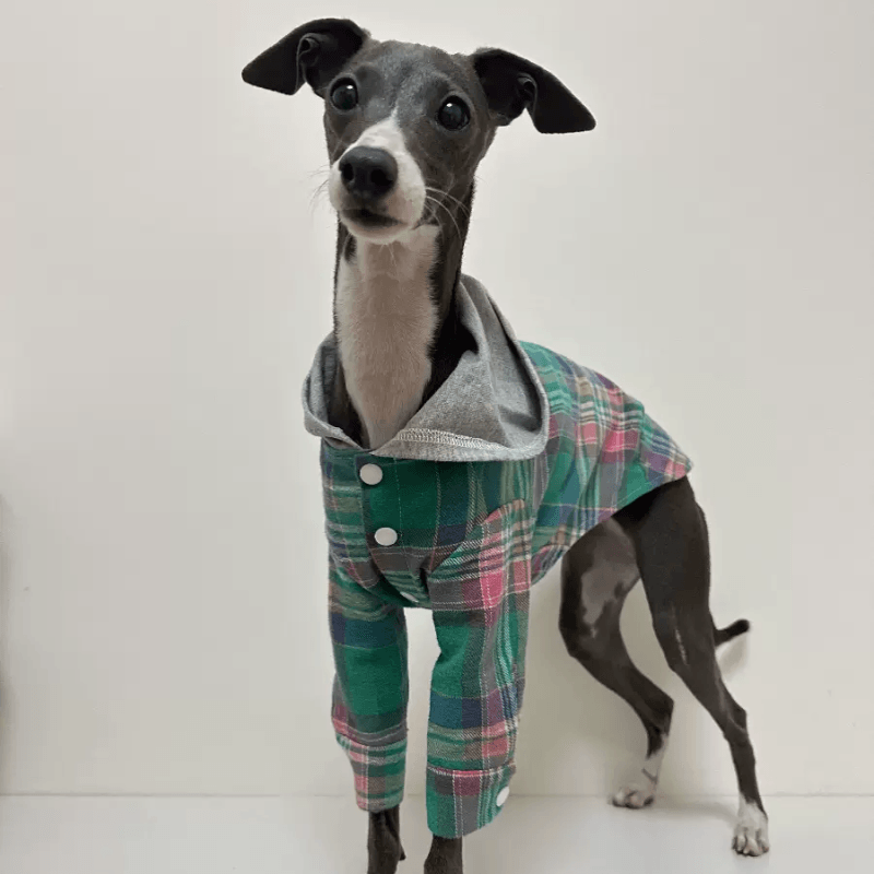 A HUNTING DOG® Dog Striped Hoodie - KIKOPALS