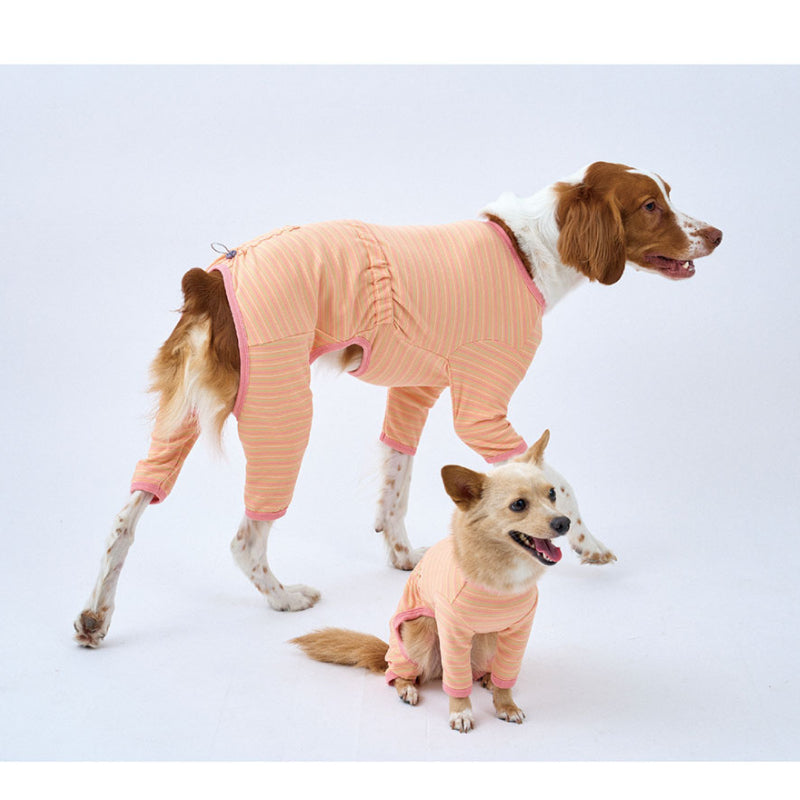 PuppyGallery® Cream Striped Four-Legged Suit for Small Breeds