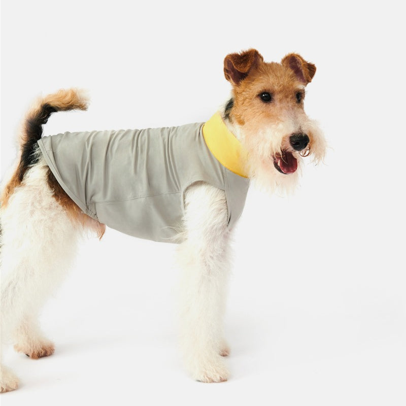Nuoz® U Series Dog Cooling Vest – High Elasticity