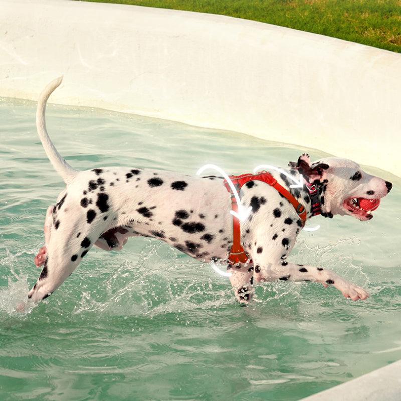 TOUCHDOG® Harness & Leash Set - KIKOPALS