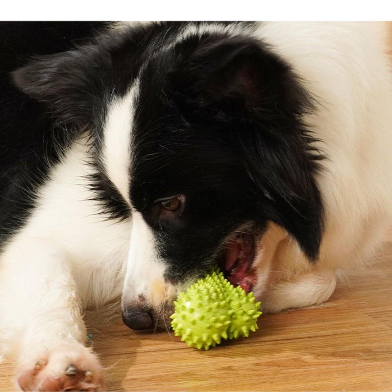 MoovaLab® Durable T-Bone Chew Dog Toy - KIKOPALS
