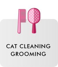 Cat Cleaning & Grooming