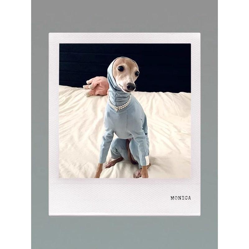 GASU® Anti-Static Cotton Stretch Whippet Shirt - KIKOPALS