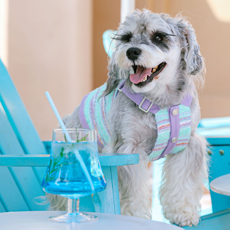 MookiPet® Colorful Striped Dog Vest