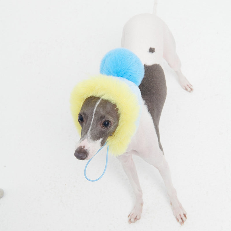 FuzFuz® Plush Ball Hat for Dogs