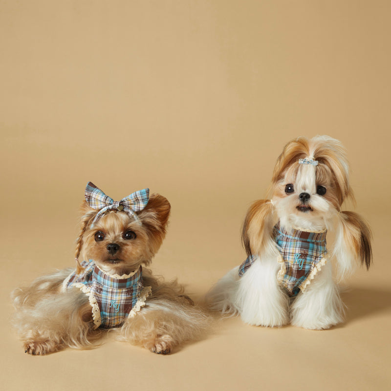 KIYOTT® School Style Blue Plaid Dress for Dogs