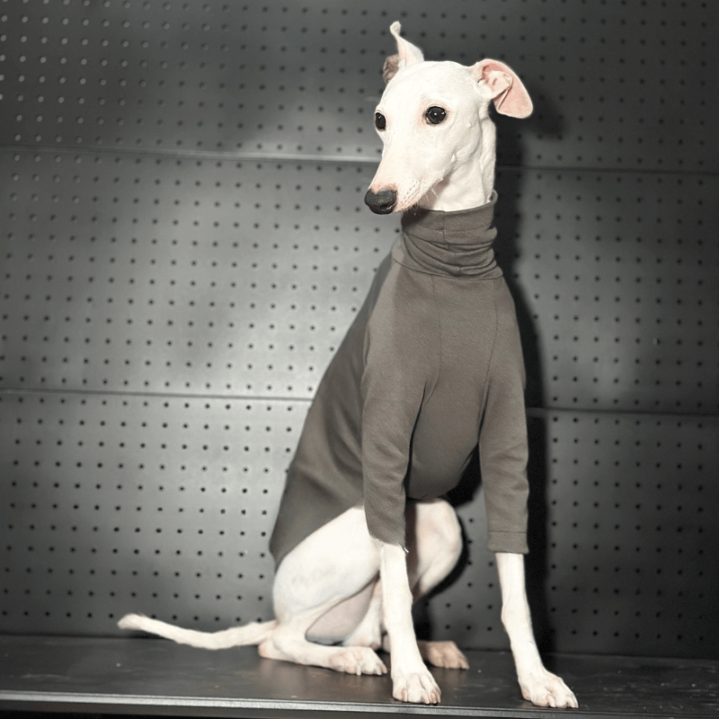 A HUNTING DOG® Dog Fitted T-shirt - KIKOPALS