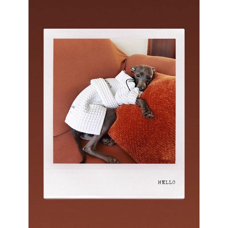 GASU® Ultra-Absorbent Microfiber Pet Bathrobe - KIKOPALS