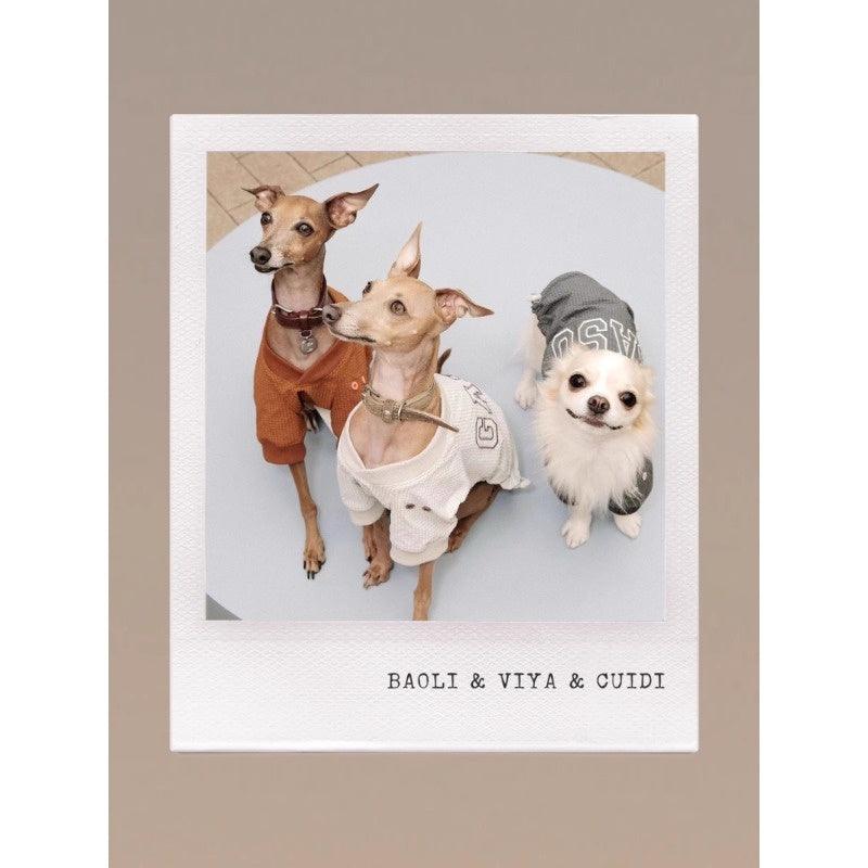 GASU® Embroidered Vintage Lightweight Pet Sweater - KIKOPALS