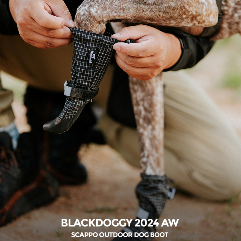 BlackDoggy® SCAPPO Outdoor Dog Boots – Durable & Waterproof