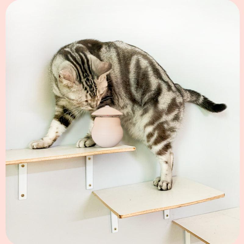 TANU® Laser Pet Toy - KIKOPALS