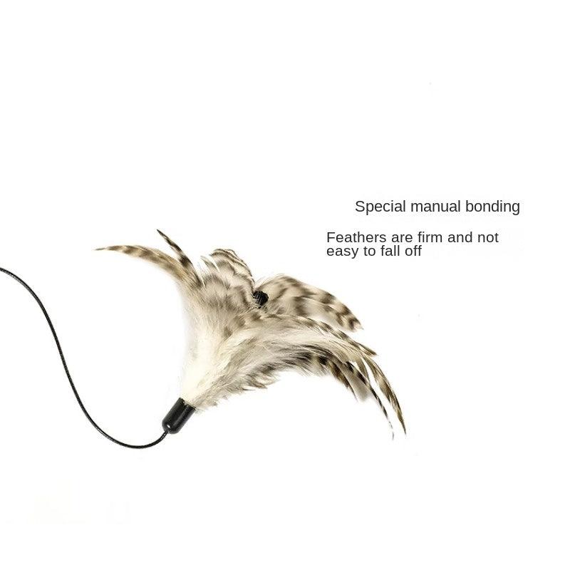 MEOWCARD® Stretch Rope Cat Teaser - KIKOPALS