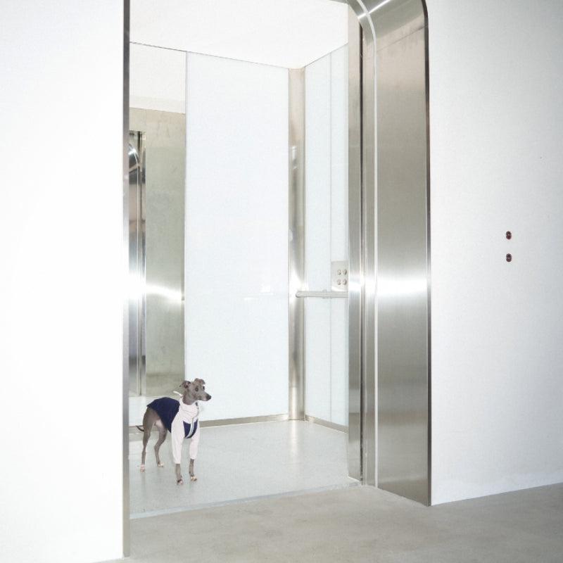 LazyEazy® Colorblock Dog Coat - KIKOPALS