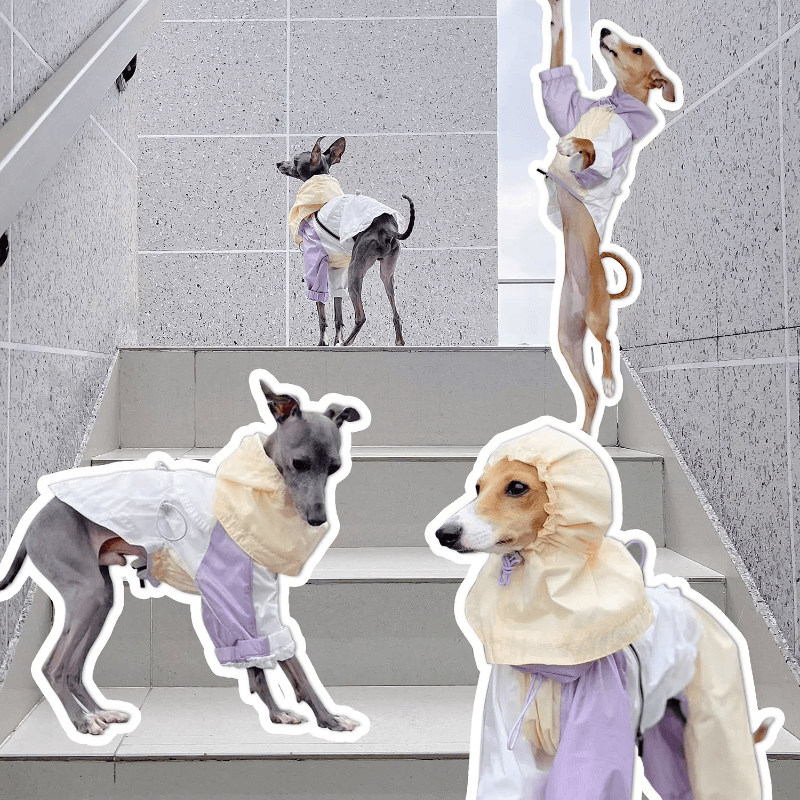 GASU® Cloudy Purple Color-Blocked Raincoat - KIKOPALS