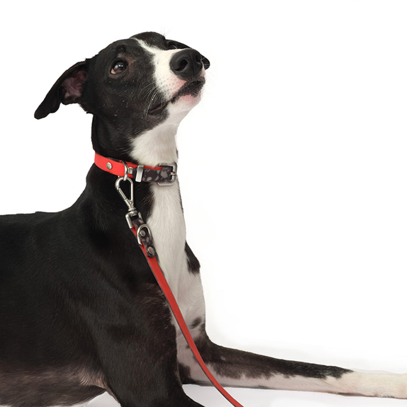 Nuoz® U Series PVC Dog Collar
