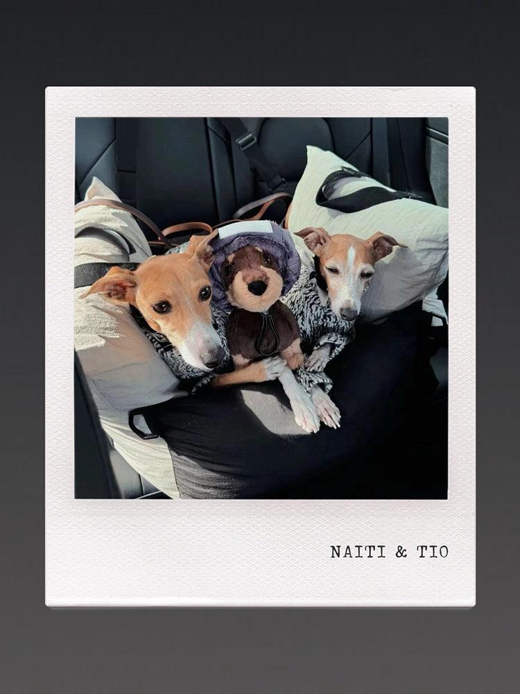 GASU® Versatile Puffer Pet Pilot Hat - KIKOPALS