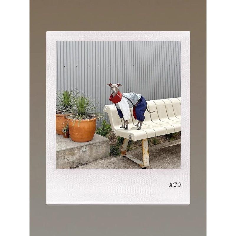 GASU® Waterproof Detachable Dog Raincoat - KIKOPALS