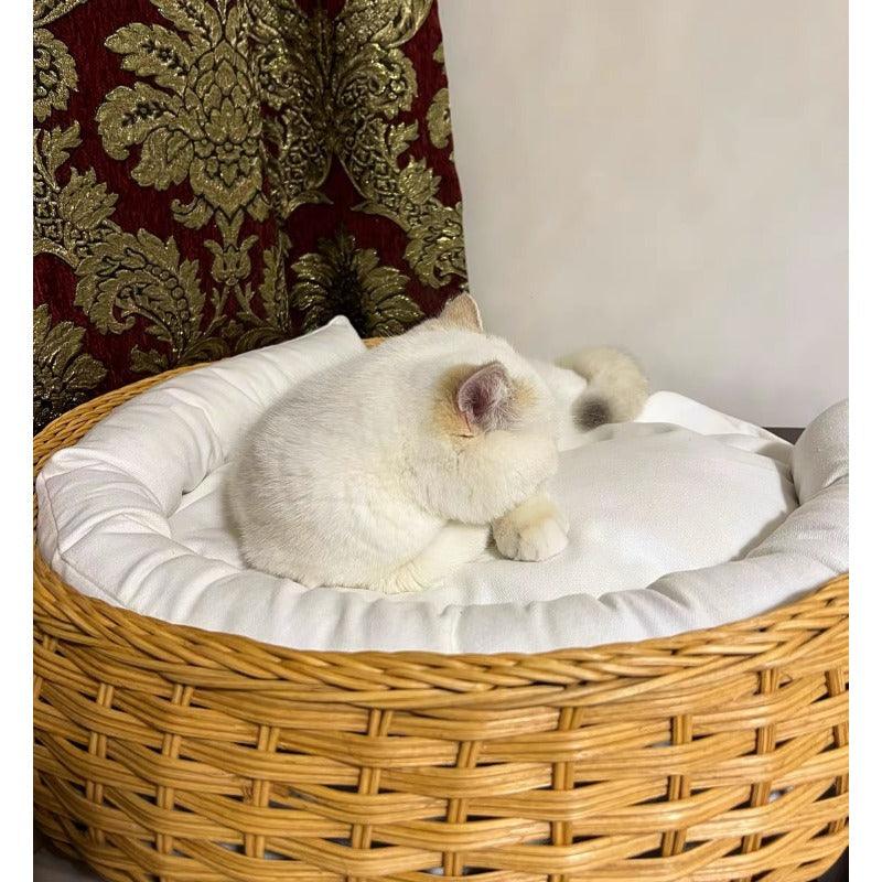 CatsCity® Cat Bed - KIKOPALS