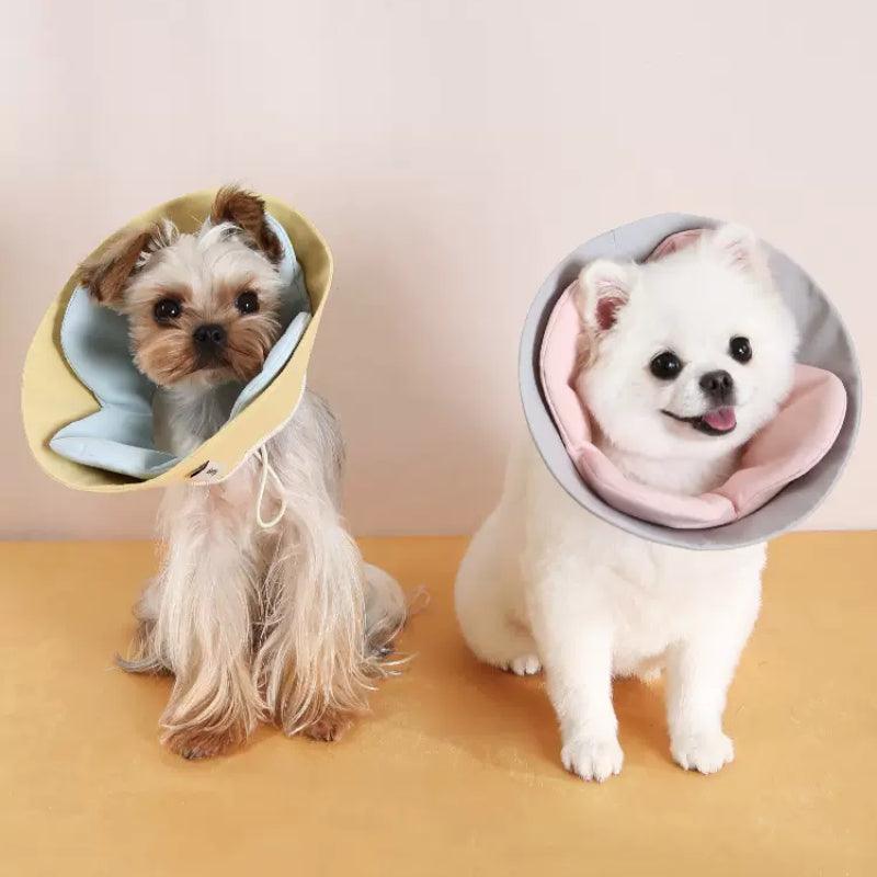 Dottylab® Floral Elizabethan Pet Collar - KIKOPALS