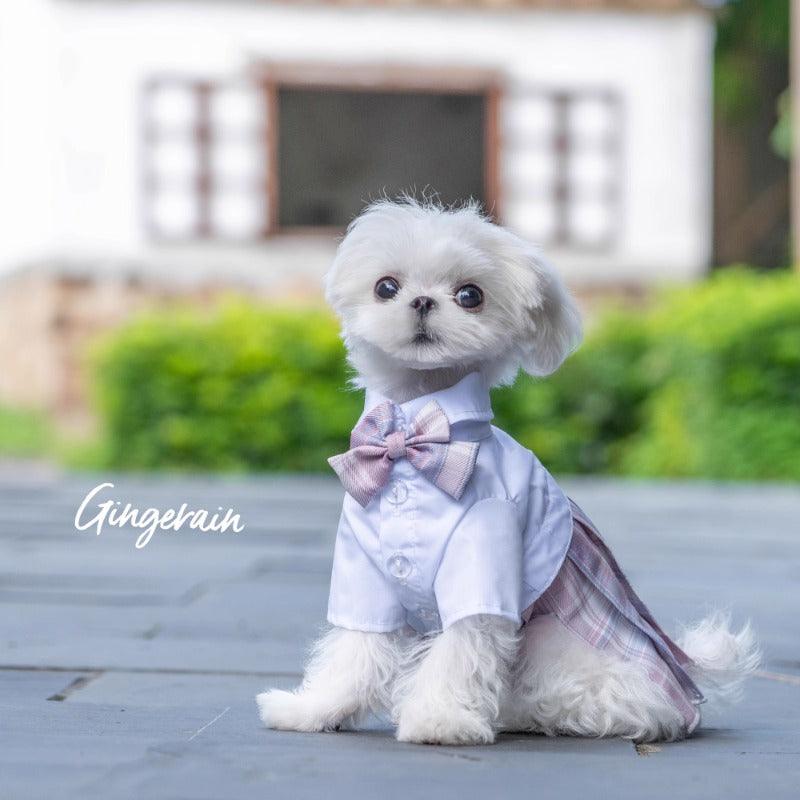 GINGERAIN® Pet Blue JK Dress - KIKOPALS