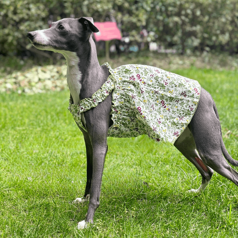 A HUNTING DOG® Dog Floral Dress - KIKOPALS