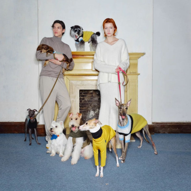 Nuoz® Colorful Gradient Hoodie with Removable Fur Collar for Dogs