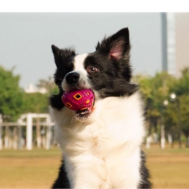 MoovaLab® Durable Light-Up Dog Toy Ball - KIKOPALS