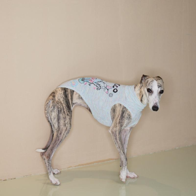 SANCCO® Graffiti Dog & Owner Matching Outfits - KIKOPALS