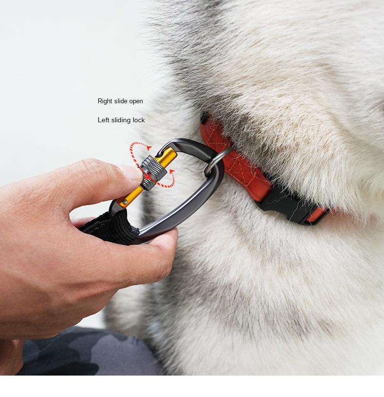 BeauGo® Dog Leash - KIKOPALS