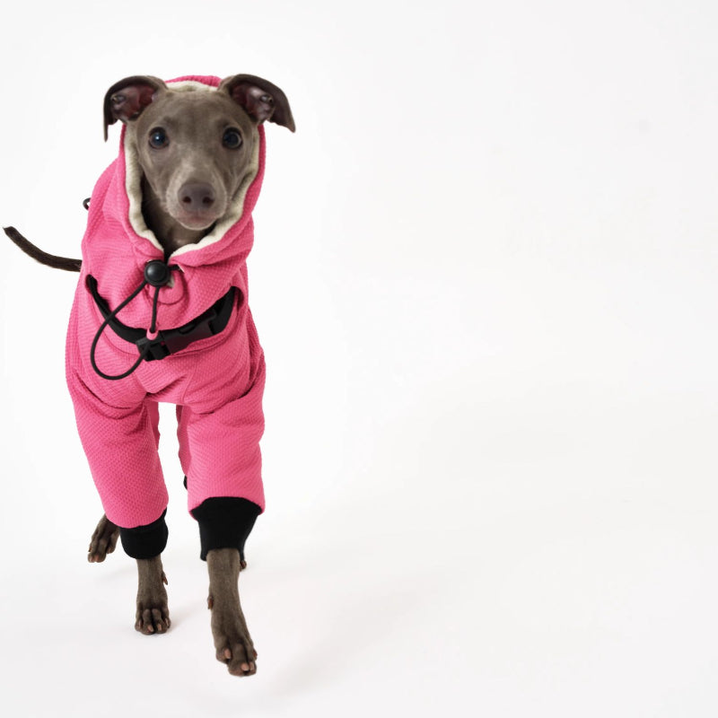 Nuoz® Pet Full-Coverage Cotton Coat for Dogs