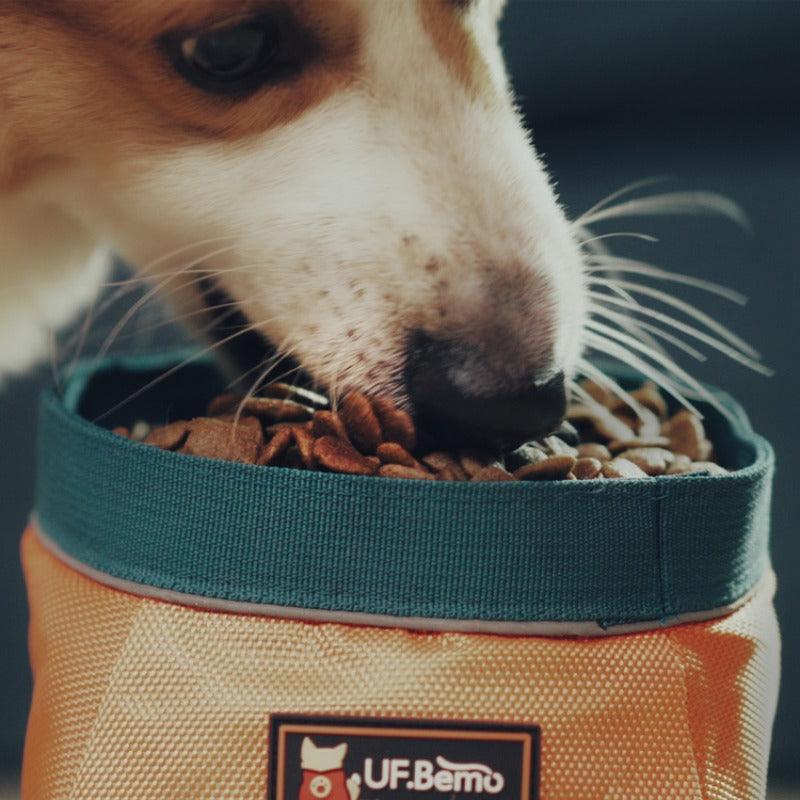 UFBemo® Foldable Pet Bowl - KIKOPALS