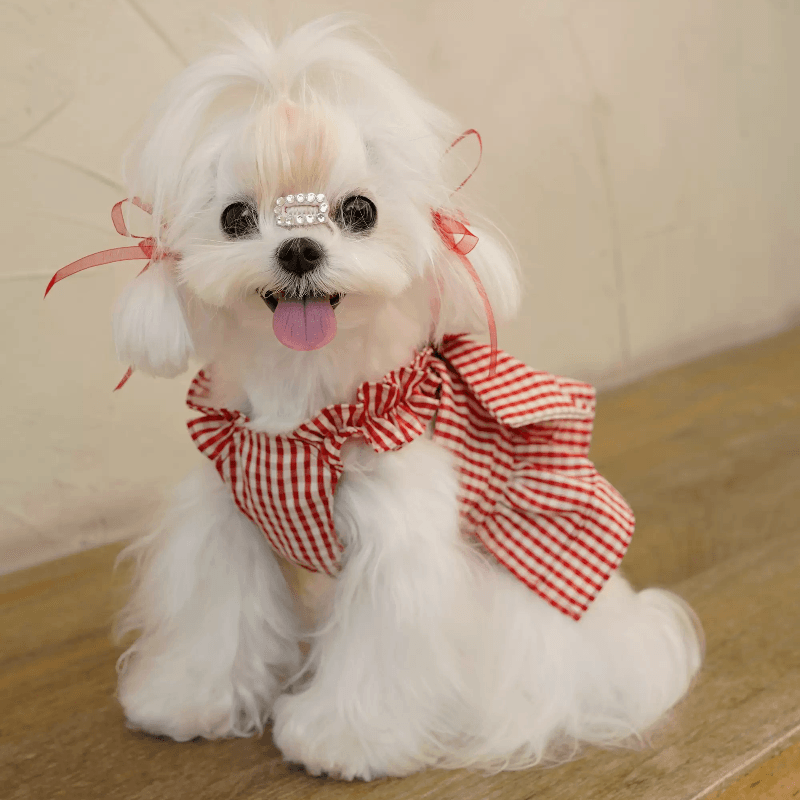 BOWWW® "Love" Red Plaid Pet Skirt - KIKOPALS