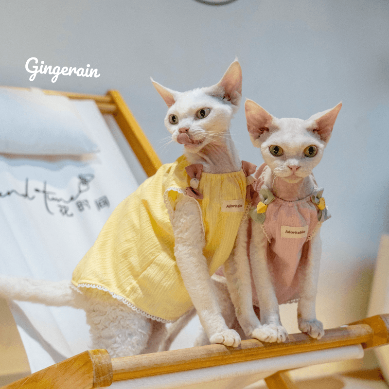 GINGERAIN® Cat Vest - KIKOPALS