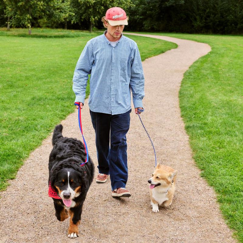 HAY® Colorful Pet Scarf - KIKOPALS