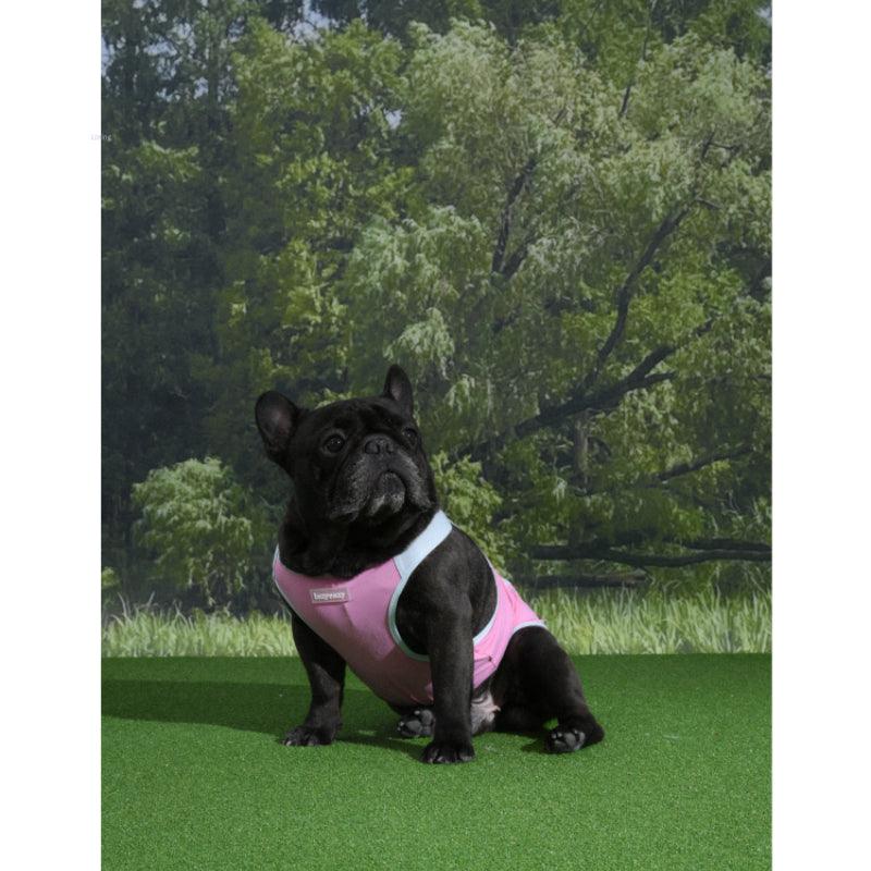 LazyEazy® Cooling Dog Vest - KIKOPALS