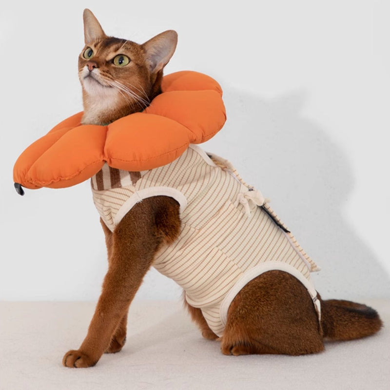 HiDREAM® Cat Recovery Suit