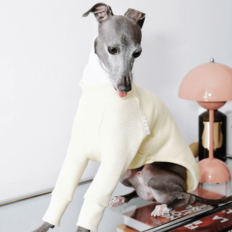 GASU® Thick Fleece Dog Cowl Neck Two-Legged Shirt - KIKOPALS