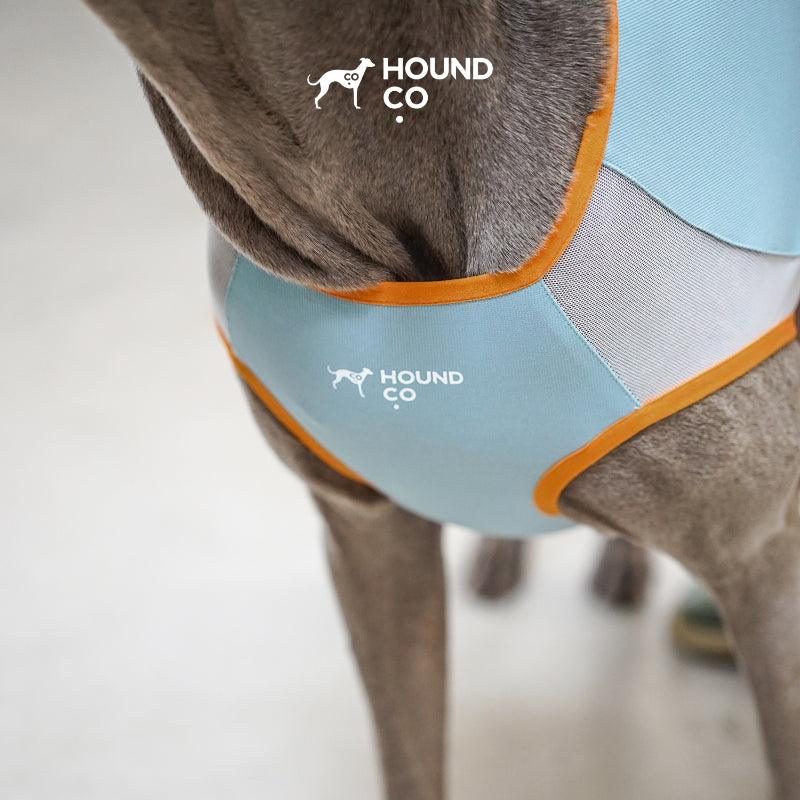 Hound Co.® Lightweight Cooling Vest for Pets - KIKOPALS