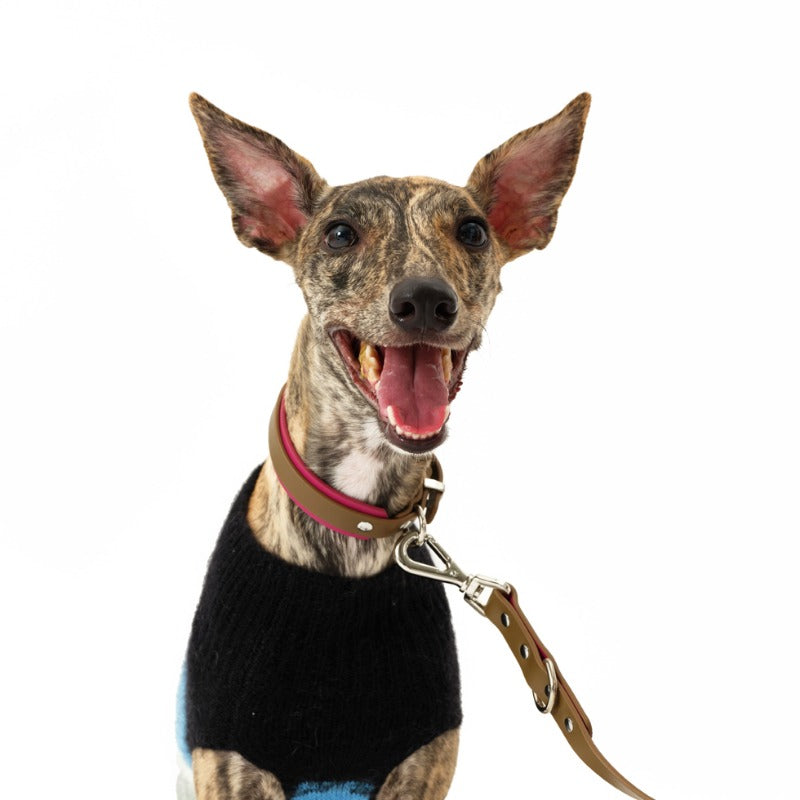 Nuoz® Double Color Leather Pet Collar for Dogs