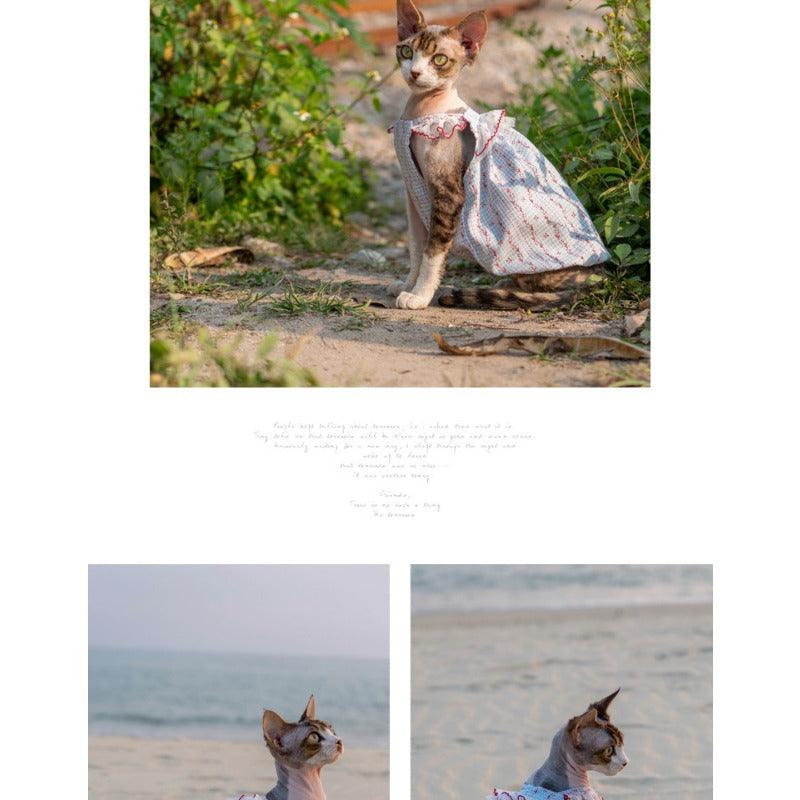 GINGERAIN® Cotton Lace Cat Dress - KIKOPALS