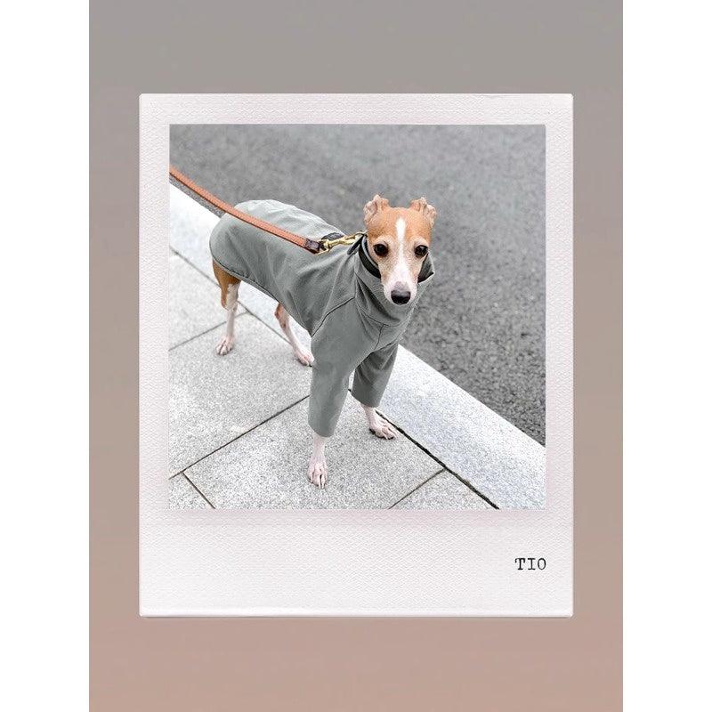 GASU® Soft Italian Leather Pet Collar - KIKOPALS