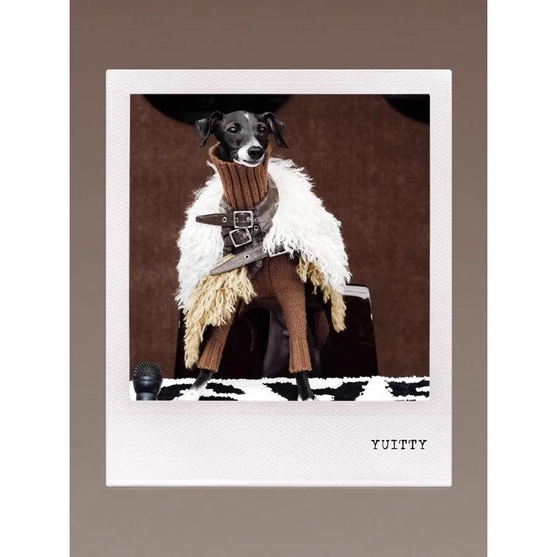 GASU® Chunky Wool Dog Two-Legged Sweater - KIKOPALS